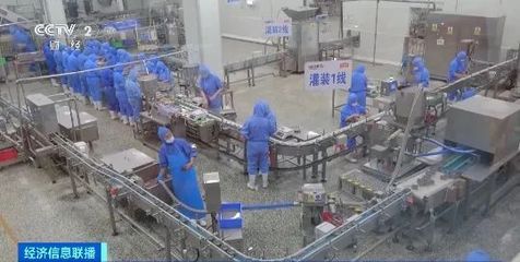 寵物食品出口火熱 4個月突破30億元，創歷史新高